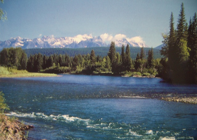[51 Montana Flathead river[3].jpg]